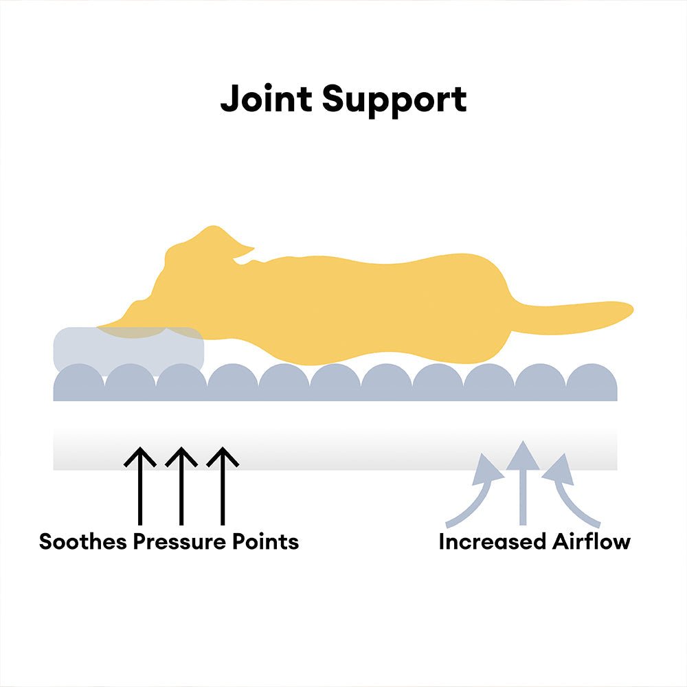 FURVION – Washable Orthopedic Sofa Bed for Dogs with Plush Comfort