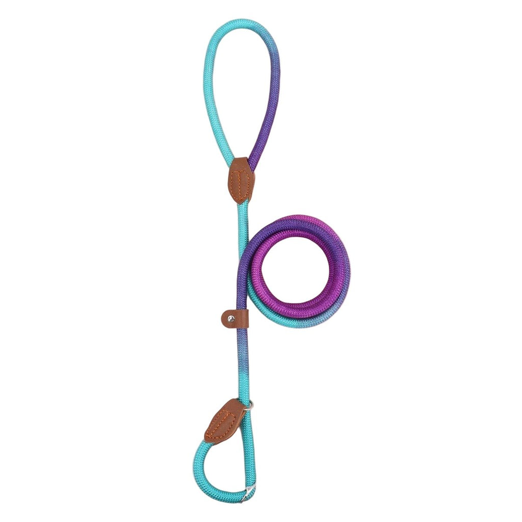 CLÉMENTINE LAISSE – Colorful dog leash for stylish walks