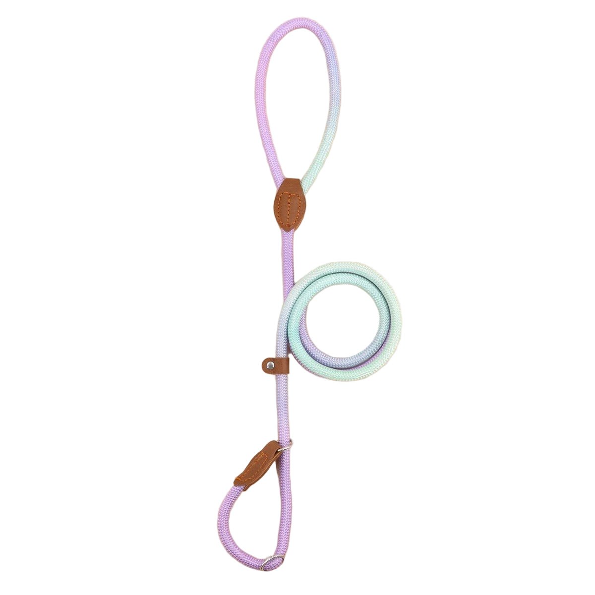 CLÉMENTINE LAISSE – Colorful dog leash for stylish walks