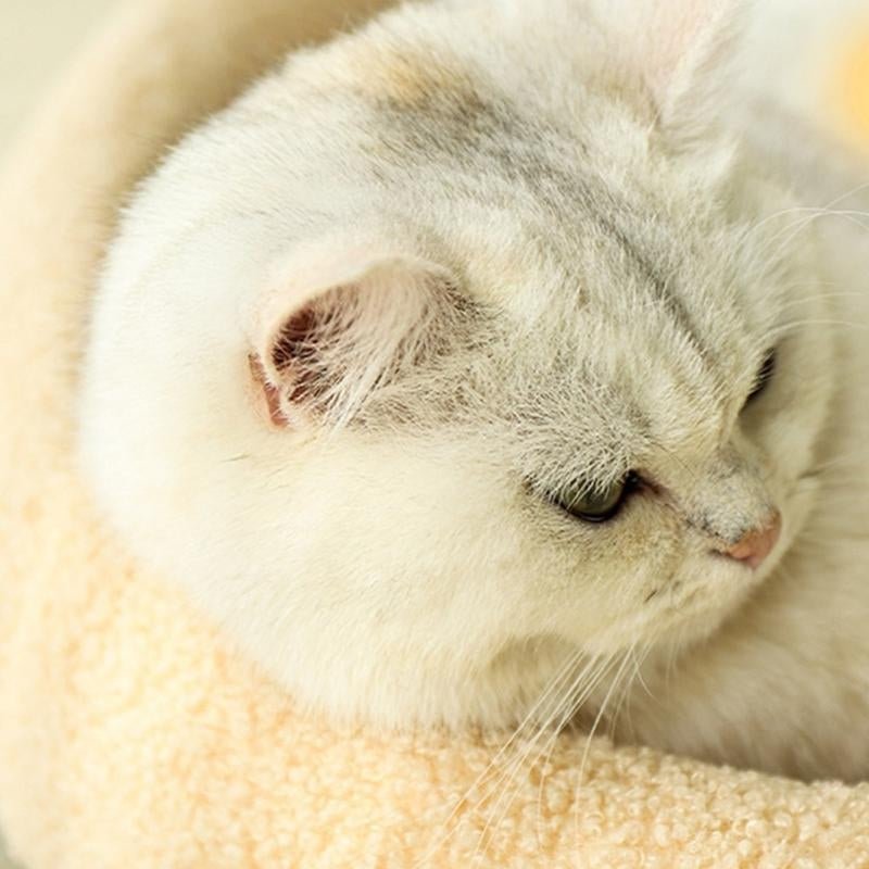 COSYCAT RETREAT – Stylish cat bed with scratching surface & soft cushion