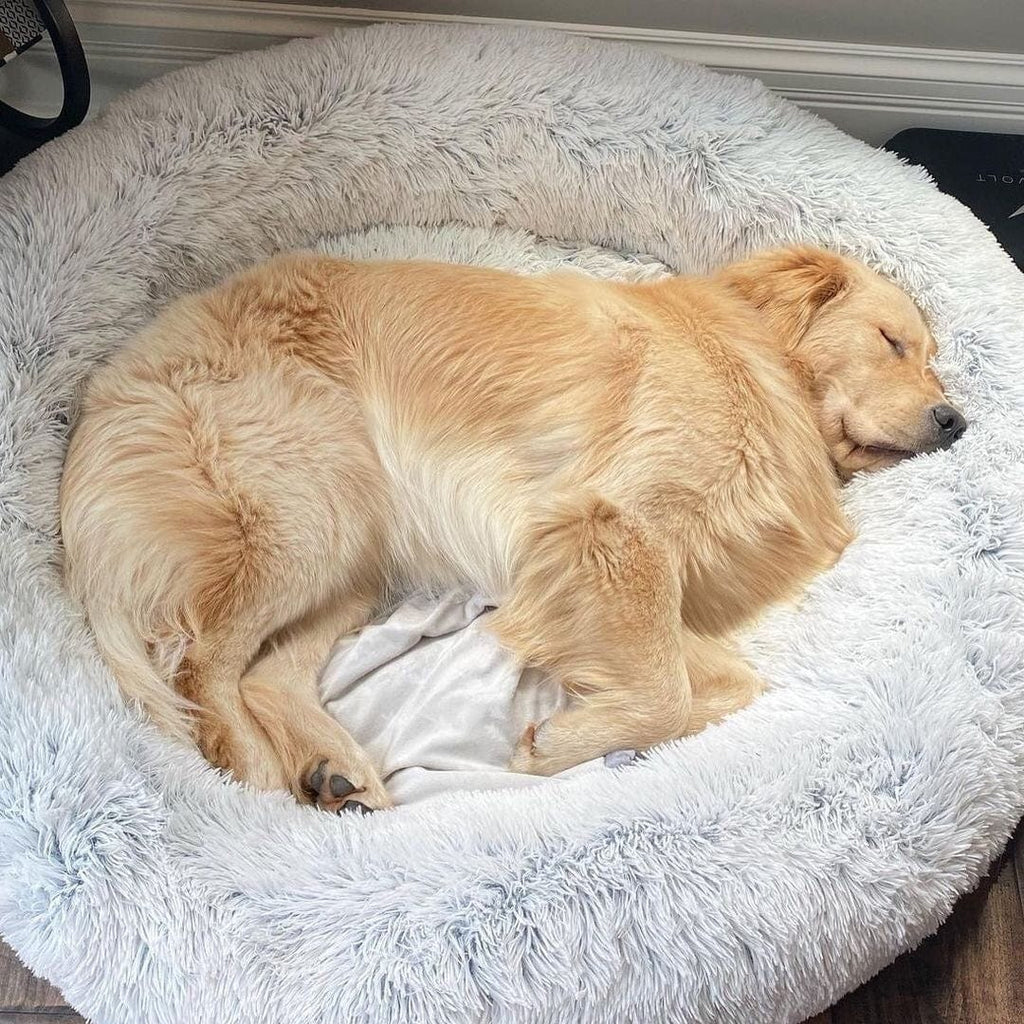 PETNEST – Anti-Stress Dog Bed with Cozy Faux Fur & Easy-Clean Material