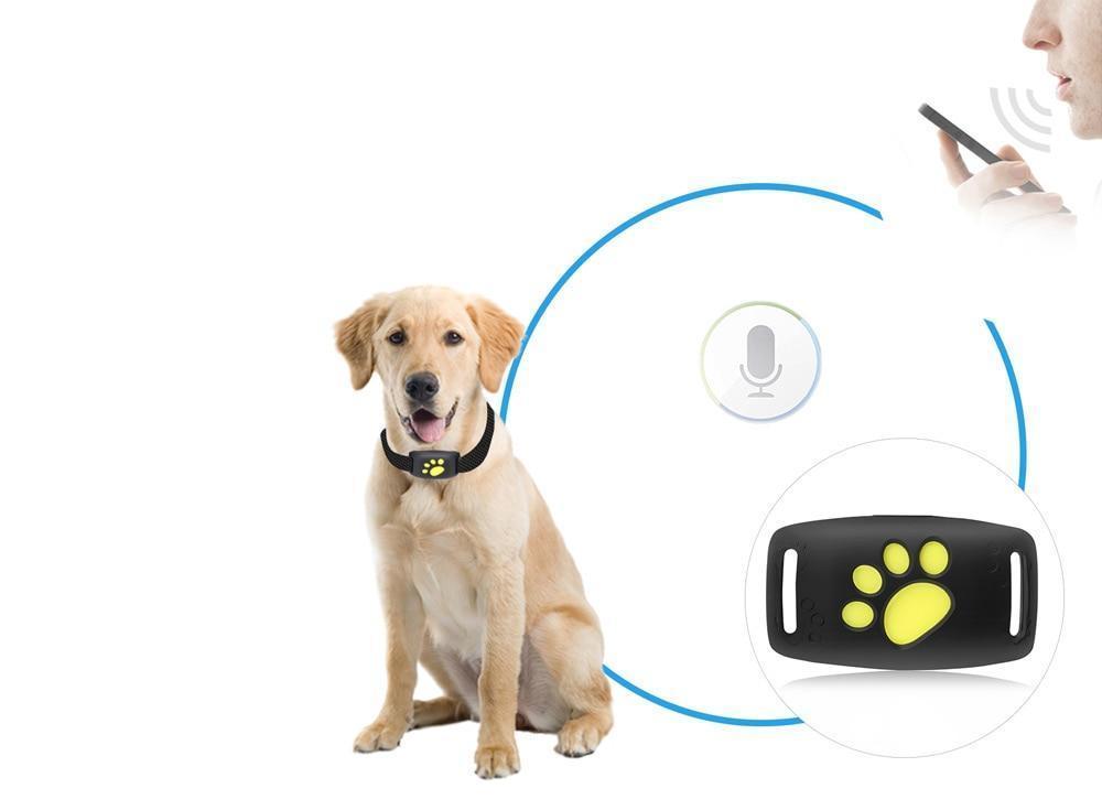 PAWTRACK MINI – Compact GPS Tracker for Cats with Real-Time Location Monitoring