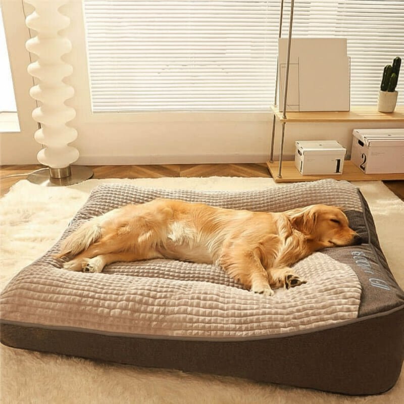 STRETCHNEST – Large Scratch-Resistant Dog Bed with Orthopedic Spine Support