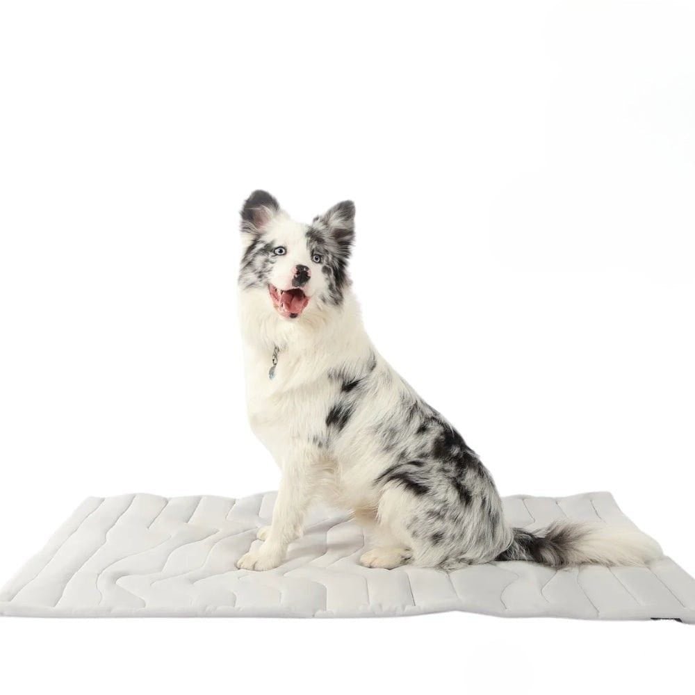 CoolPaws Cooling Mat - Self-cooling dog mat for hot summer months