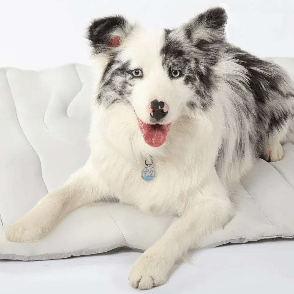 CoolPaws Cooling Mat - Self-cooling dog mat for hot summer months