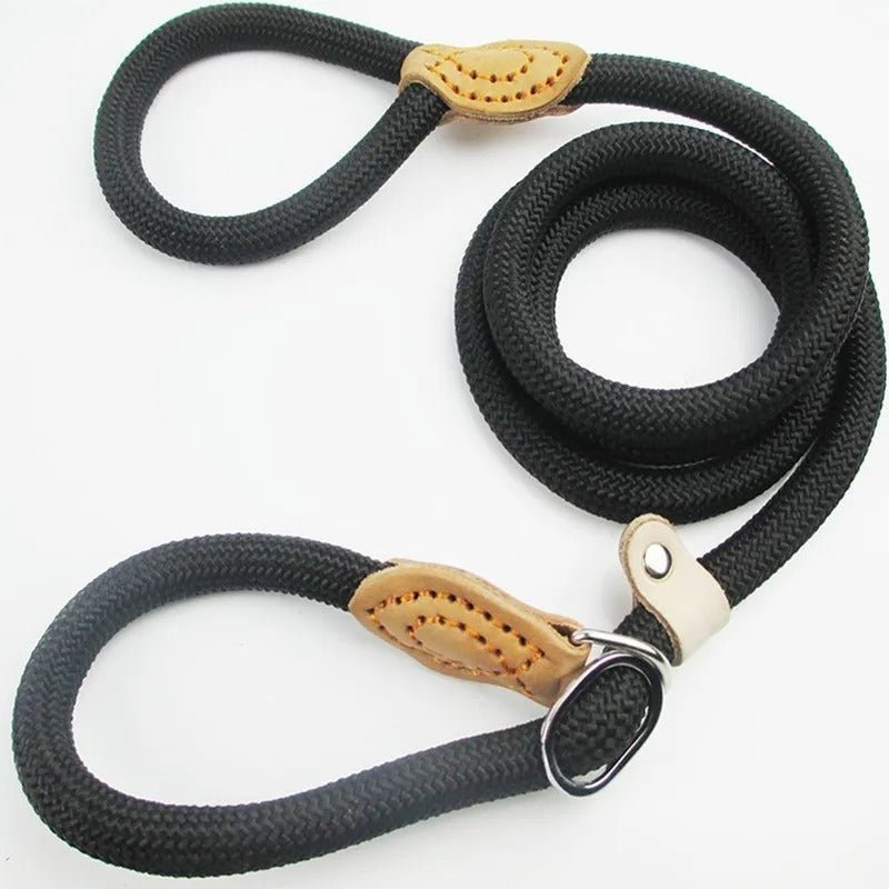 GUILLAUME LAISSE – Long leash for dogs made of climbing rope
