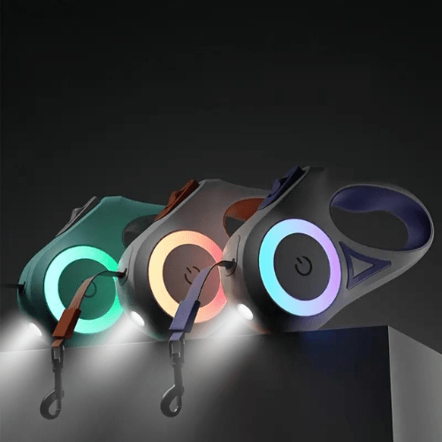Glowguard – LED dog leash for safe evening walks