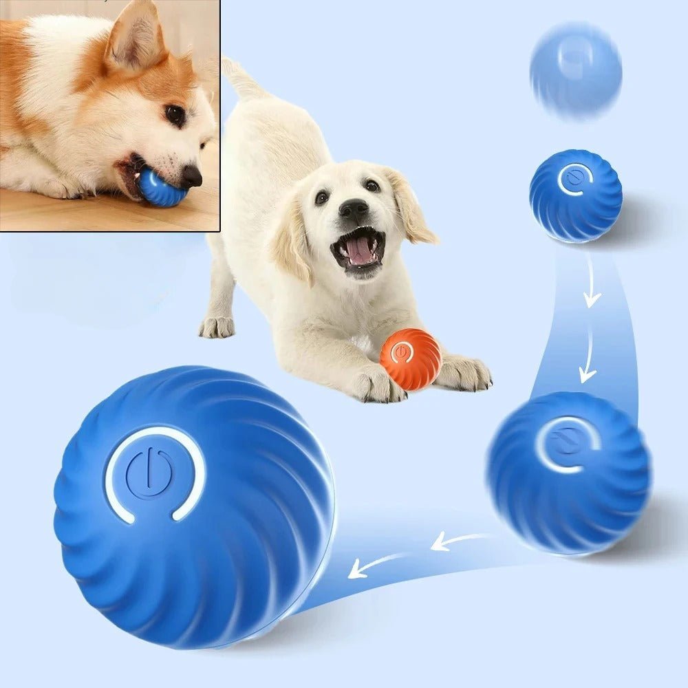 MAXIME PLAYER – Intelligent interactive ball for dogs
