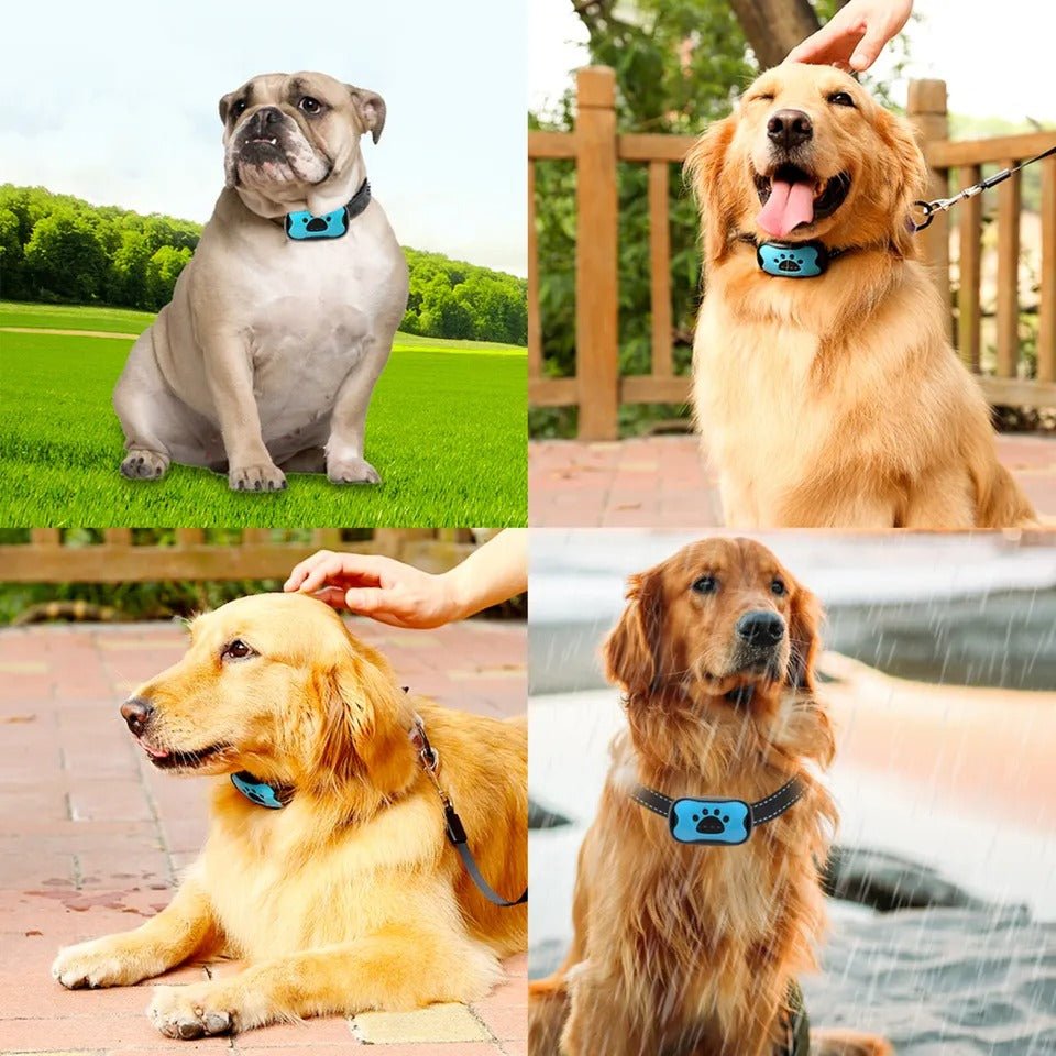 BARKTONE – Anti-Bark Dog Collar with Sound Wave Technology and Adjustable Fit