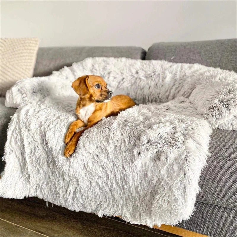 PAWCLOUD SOFA – Cozy pet sofa with raised edge & furniture protection