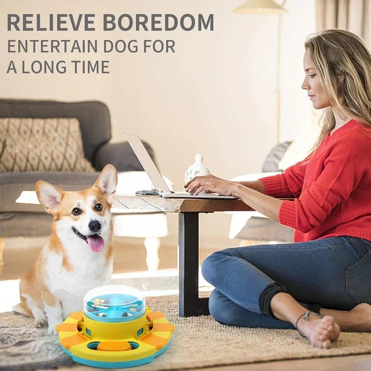 PUZZLEFEAST – Interactive Slow Feeder for Dogs and Cats