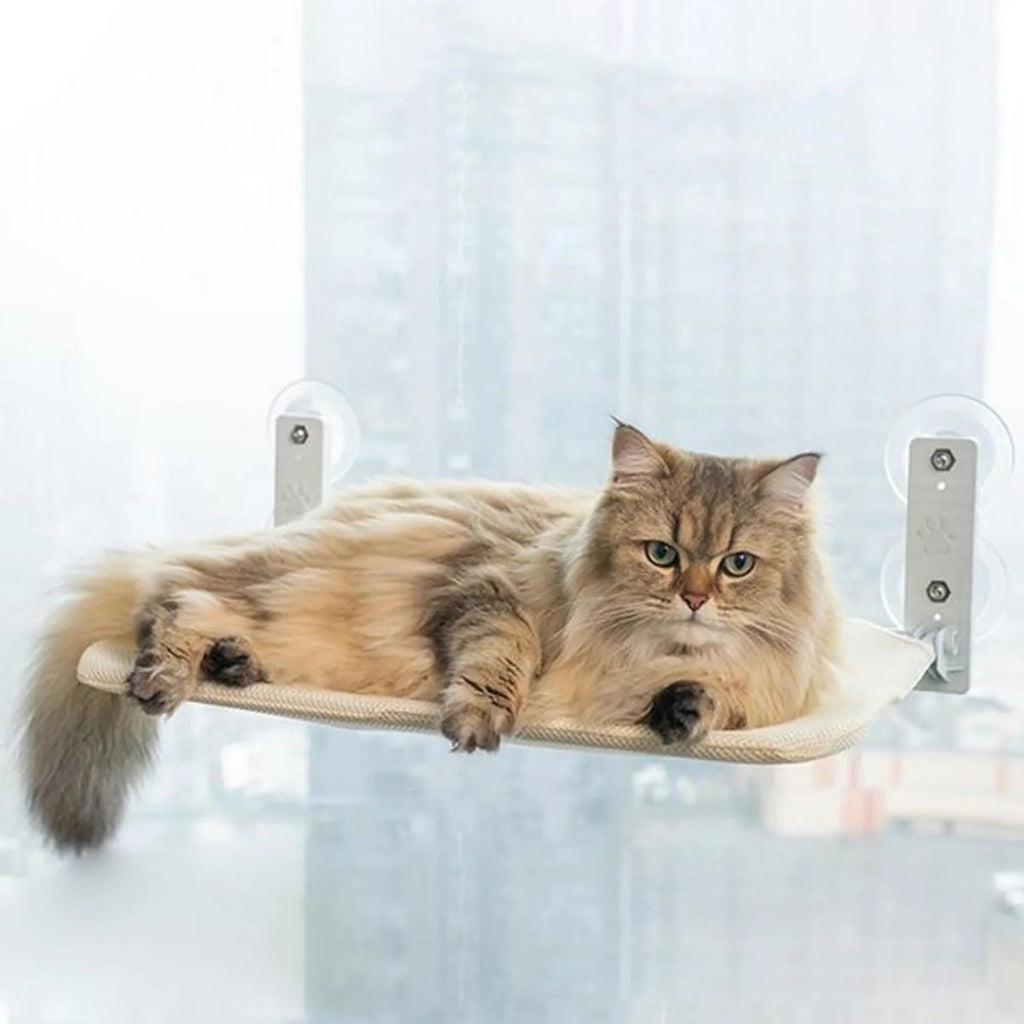 Pawperch – Foldable cat hammock with wall-friendly mount | Drill-free window perch for cats