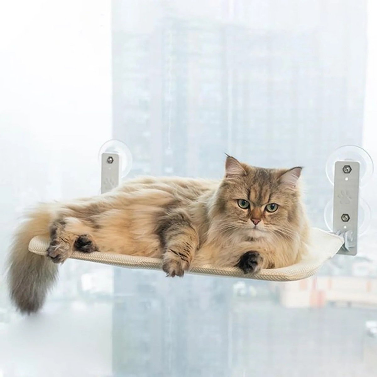 Pawperch – Foldable cat hammock with wall-friendly mount | Drill-free window perch for cats