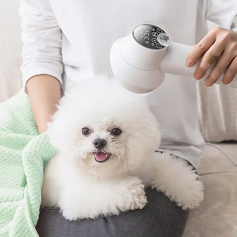 PurrfectDry – Quiet 2-in-1 pet dryer and brush for stress-free grooming