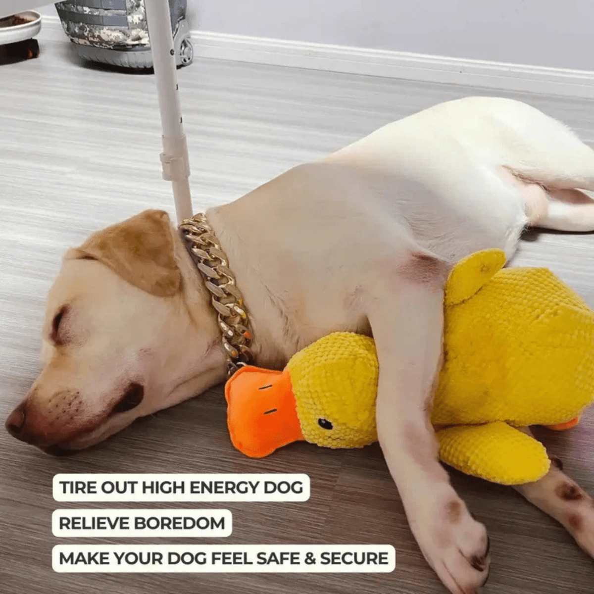 Quackly – Soothing Plush Toy for Dogs with Squeaker, Machine Washable