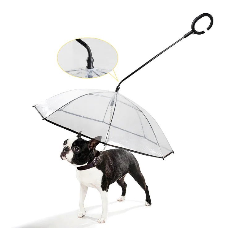 RAINGUARD UMBRELLA – Transparent dog umbrella for rain protection
