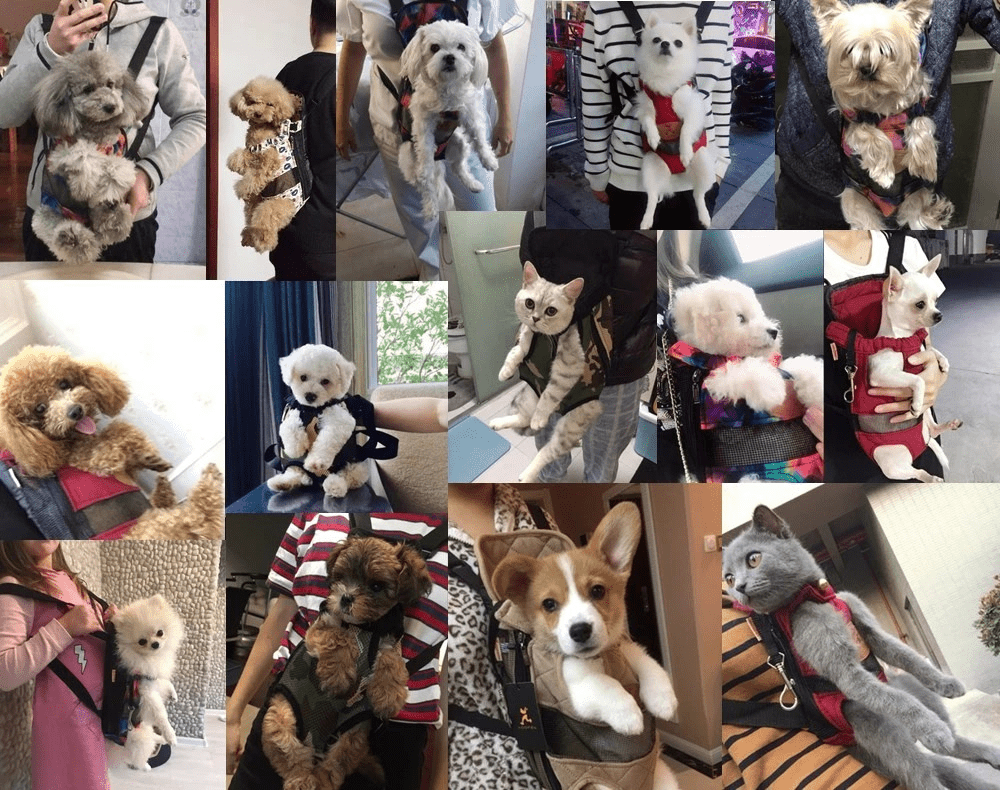 TRAVELBUDDY CARRIER BAG – Breathable travel bag for small dogs