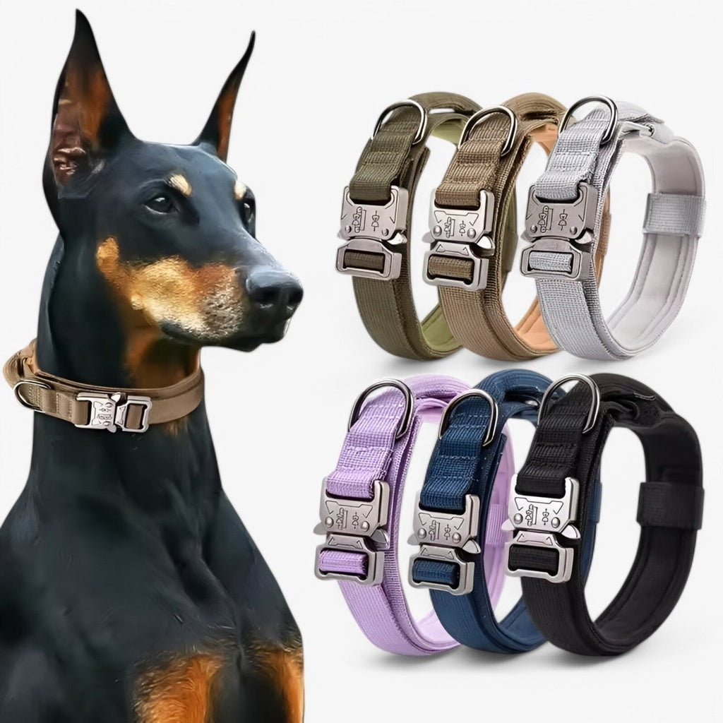 TacticalK9 - Adjustable dog collar set for adventures and daily training
