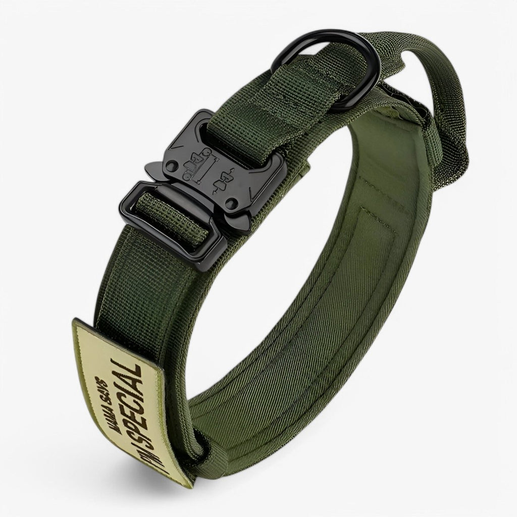 TacticalK9 - Adjustable dog collar set for adventures and daily training